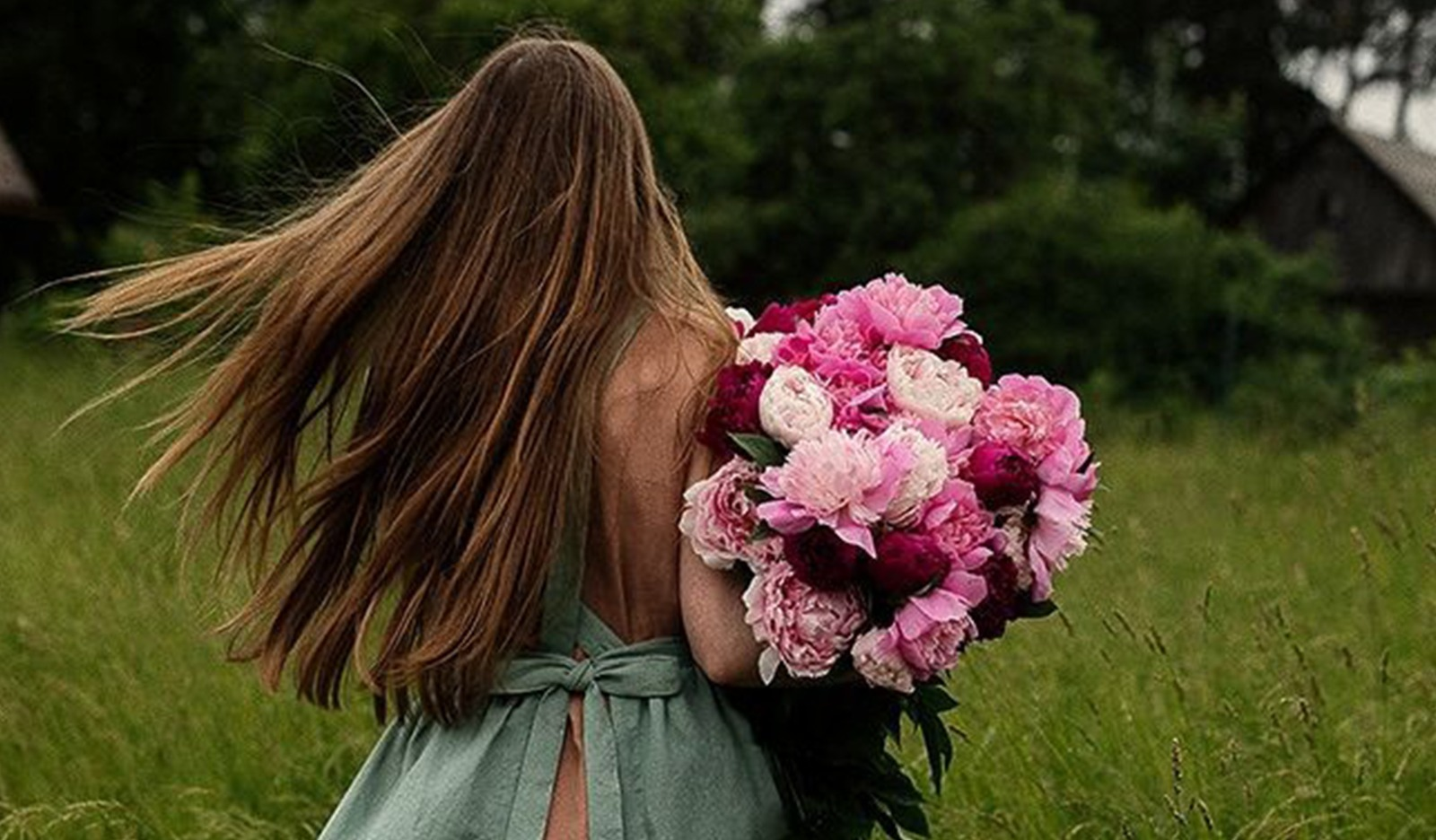 Morning Notes: The Flower That Changed How The Waking World Finds Me