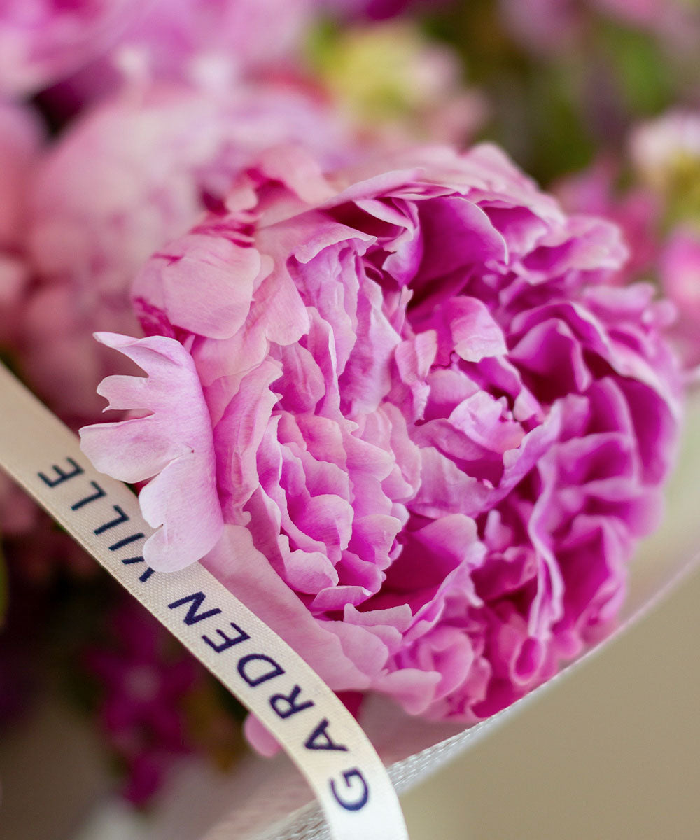 Peony Bliss