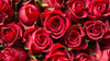 A Valentine’s Day Affair: The Art of Luxurious Gifting with Garden Ville